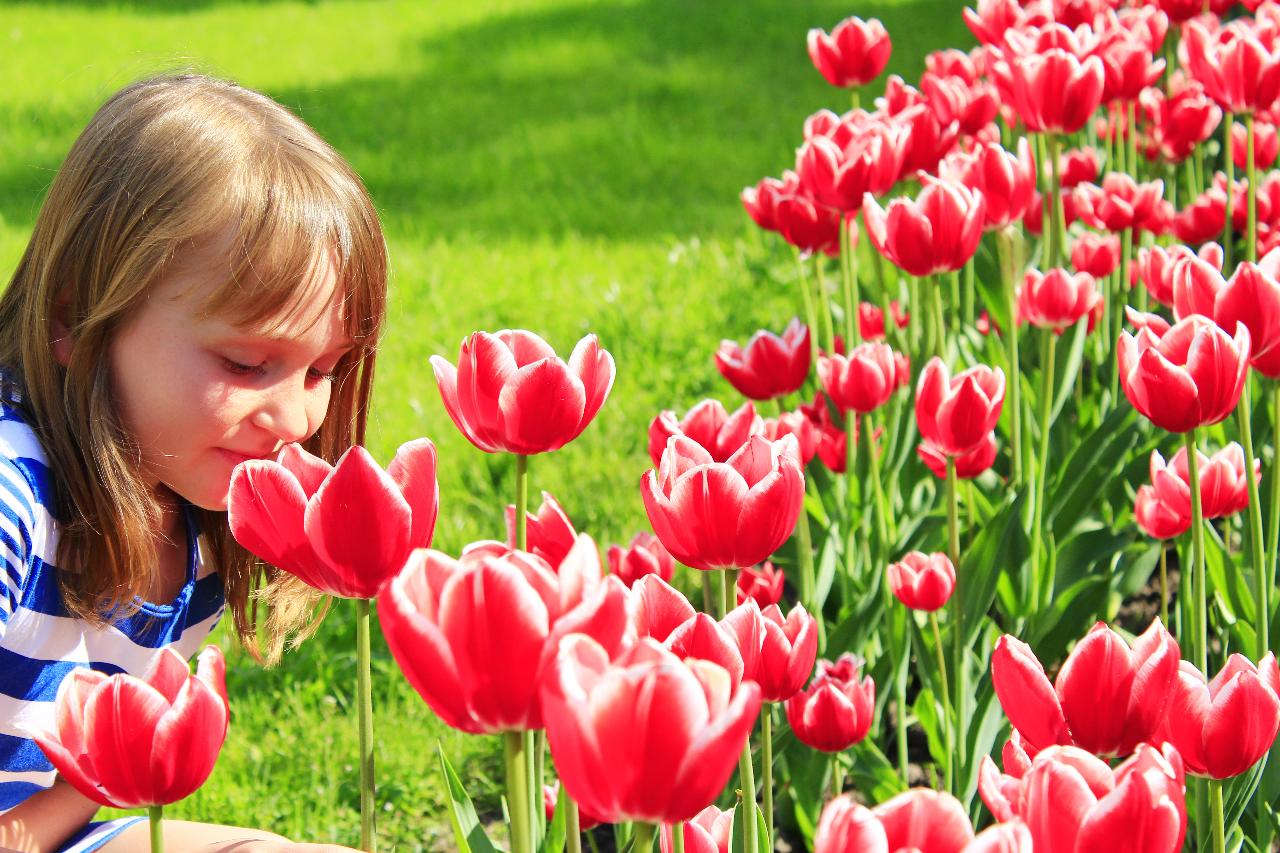 Los niños y la primavera: "Se dice que la sangre altera porque es adictivo respirar"