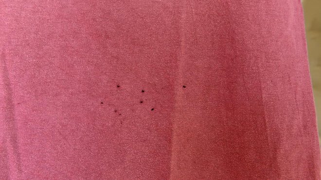 ¿Por qué salen agujeros pequeños en las camisetas a la altura del ombligo?