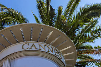 El Festival de Cannes està en plena recerca d'una nova Palma d'Or