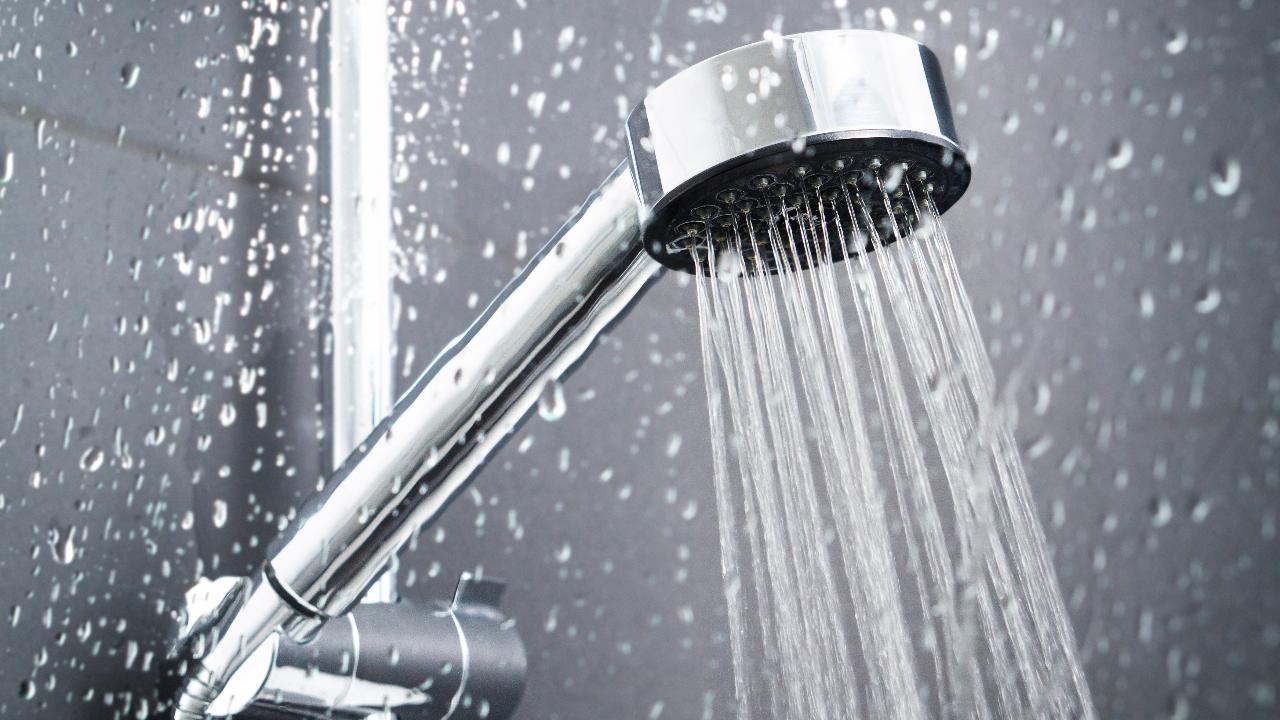 El truco viral para convertir tu ducha en un 'spa' con unos ramilletes de eucalipto