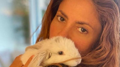 Shakira y su conejo