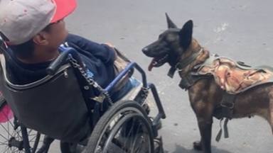El gesto de un perro con su dueño en silla de ruedas se hace viral: "El más fiel del mundo"