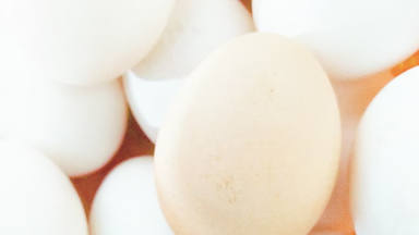 Así es como puedes saber la edad de los huevos que tienes en la nevera para saber si es recomendable su uso