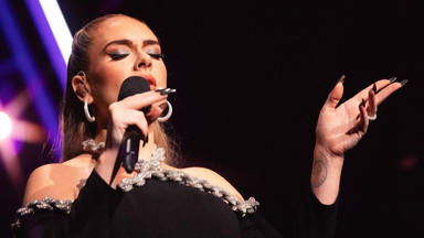 El bonito gesto de Adele al parar su concierto para defender a un fan: "No volverán a molestarte"