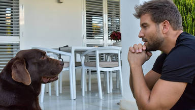 Descubre la historia de superación de Terral, el perro de Pablo Alborán al que ha enseñado a ladrar