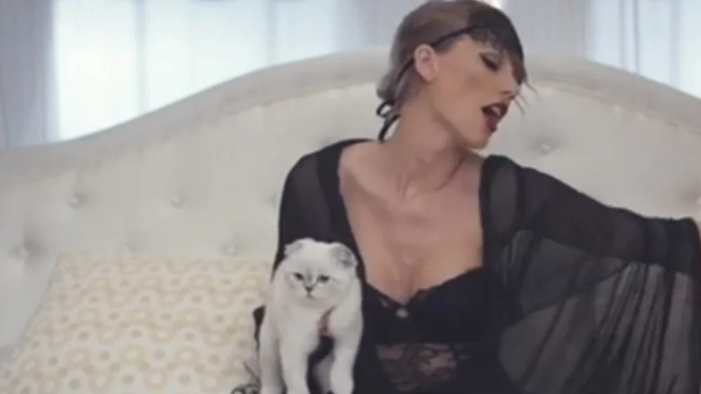 Olivia, la gata millonaria de Taylor Swift que tiene casi 100 millones de patrimonio