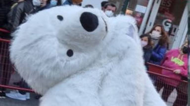 El oso perjudicado de la Cabalgata de Reyes de Cádiz 2022, objeto de multitud de memes