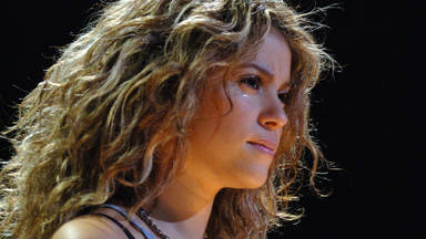 Shakira cuenta con una legión de fans que dan la cara por ella ante la más mínima polémica